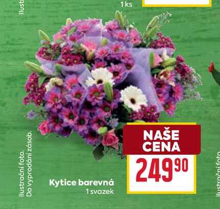 Kytice barevná 1 svazek 1ks