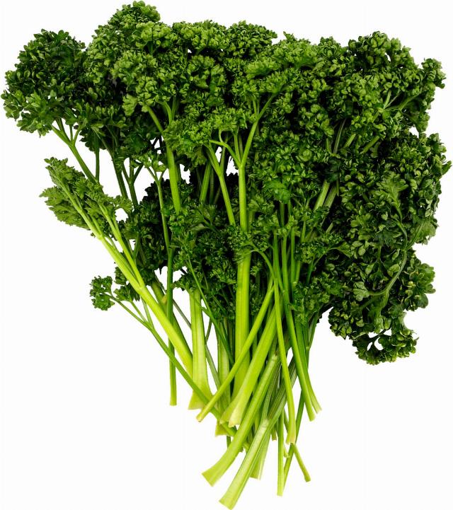 Byliny - Petržel kudrnka