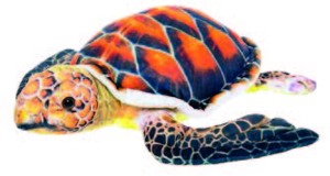 Želva Kareta obrovská