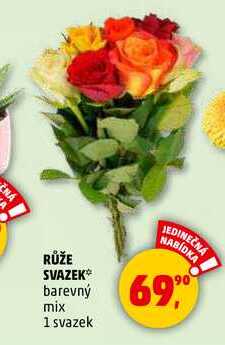 RŮŽE SVAZEK, 1 svazek 