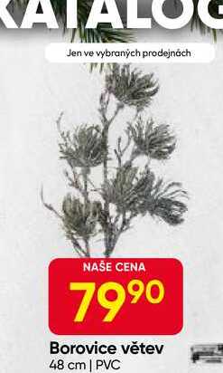 Borovice větev 48 cm | PVC 