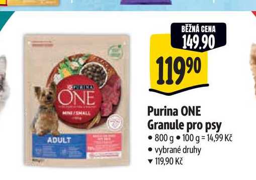 Purina ONE Granule pro psy 800 g