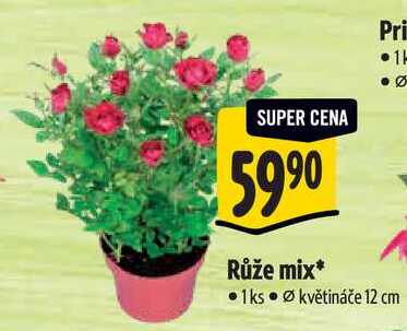 Růže mix