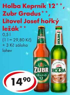 Zubr Gradus, Litovel Josef hořký ležák, 0,5 l