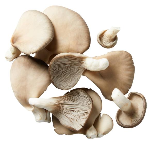 K-Jarmark Hlíva ústřičná kloboučky XXL