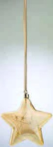 Vánoční hvězda STJERNE
