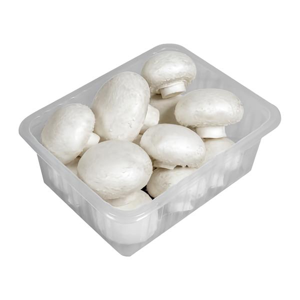 České houby Žampiony zahradní bílé, vanička