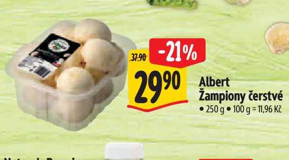  Albert Žampiony čerstvé 250 g