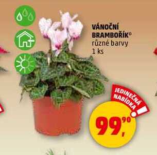 VÁNOČNÍ BRAMBOŘÍK, 1 ks 