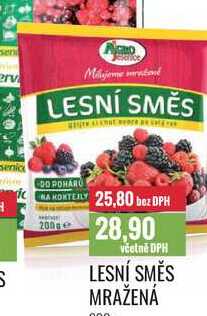 LESNÍ SMĚS MRAŽENÁ 200g