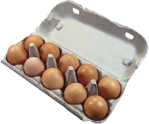 Čerstvá vejce M, 10 KS