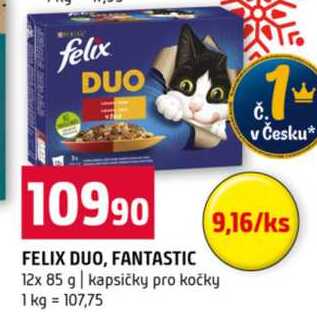 FELIX DUO, FANTASTIC 12x 85 g kapsičky pro kočky