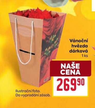 Vánoční hvězda dárková 1 ks