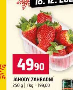 JAHODY ZAHRADNÍ 250 g 