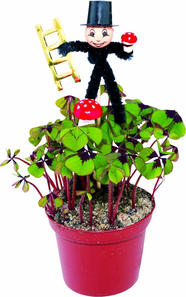 Čtyřlístek pro štěstí s přízdobou