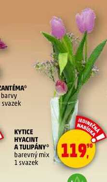 KYTICE HYACINT A TULIPÁNY, 1 svazek 