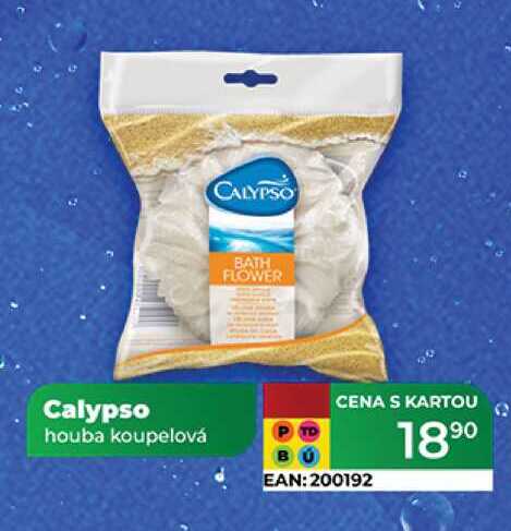 Calypso houba koupelová 