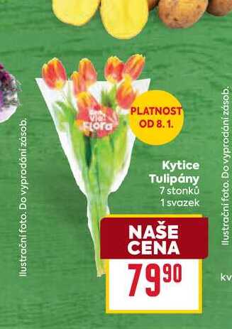 Kytice Tulipány 7 stonků 1 svazek
