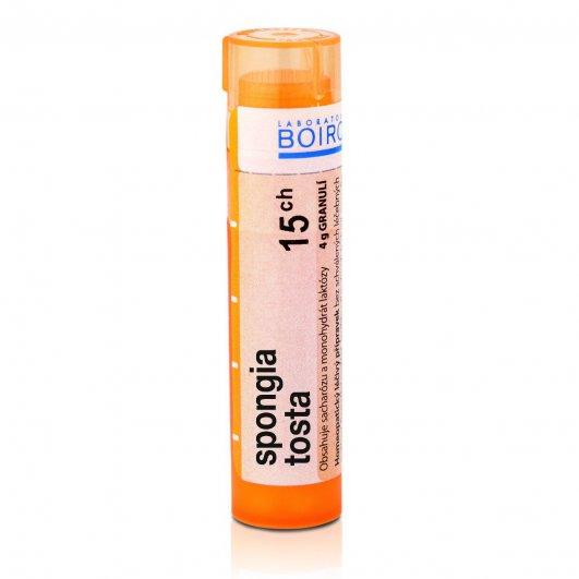 Spongia tosta 15CH granule 4g