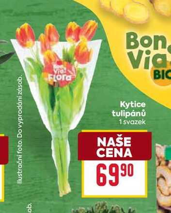 Kytice tulipánů 1 svazek 