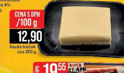 Gouda bloček 300g 100g