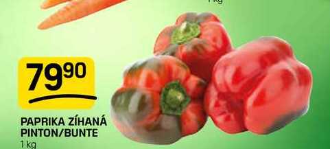 PAPRIKA ZÍHANÁ PINTON/BUNTE 1 kg