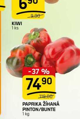 PAPRIKA ŽÍHANÁ PINTON/BUNTE 1 kg 