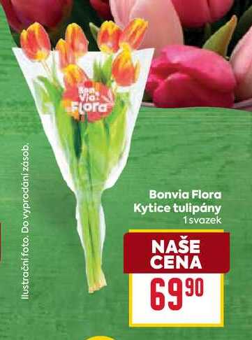 Kytice tulipány 1svazek