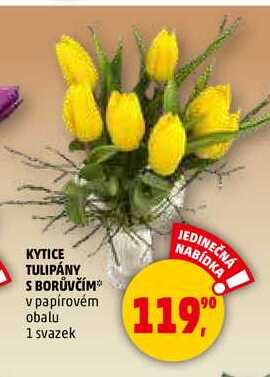KYTICE TULIPÁNY S BORŮVČÍM, 1 svazek