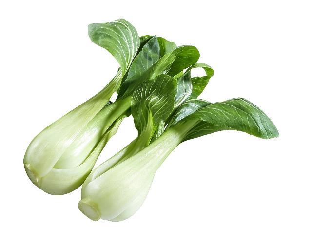 Salát Pak Choi