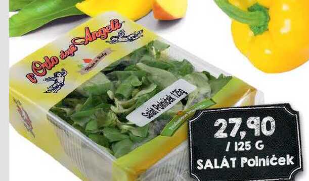 Salát Polníček 125g 