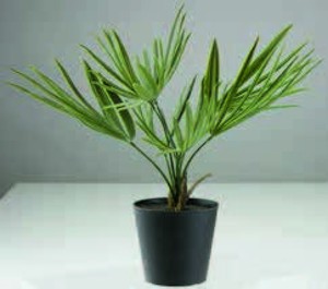 Umělá rostlina PAUL