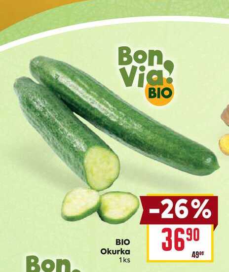 BIO Okurka 1ks 