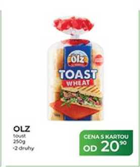 OLZ toust 250 g