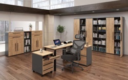 Pracovna - otočná židle