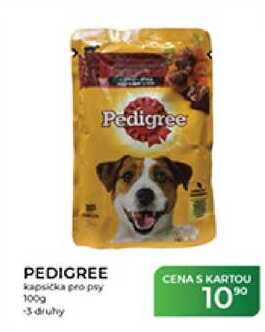 PEDIGREE kapsička pro psy 100 g