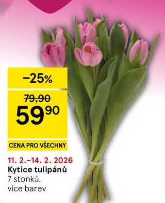 Kytice tulipánů, 7 stonků. více barev 