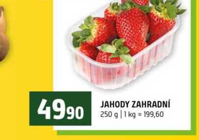 JAHODY ZAHRADNÍ 250 g