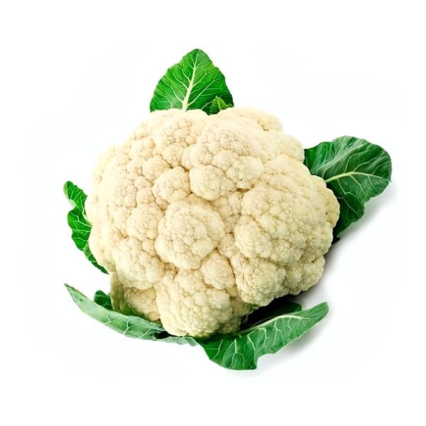 Květák bílý, 1 ks