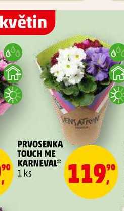 PRVOSENKA TOUCH ME KARNEVAL, 1 ks