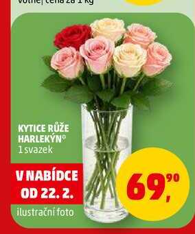 KYTICE RŮŽE HARLEKỲN, 1 svazek 