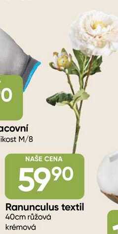 Ranunculus textil 40cm růžová krémová 