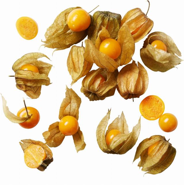 Physalis