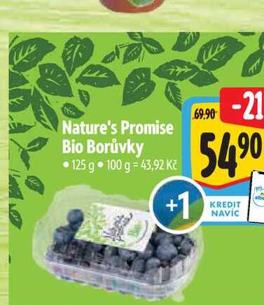 Nature's Promise Bio Borůvky 125 g 
