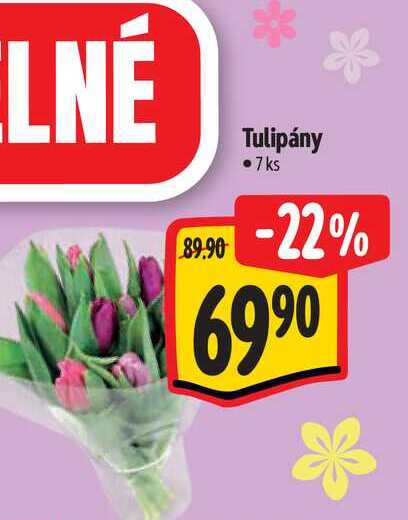 Tulipány 7 ks