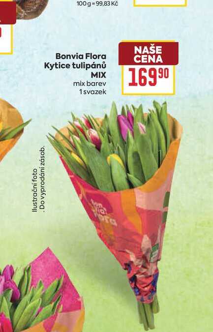 Bonvia Flora Kytice tulipánů mix barev 1 svazek 