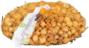 Cibule sazečka Stuttgart