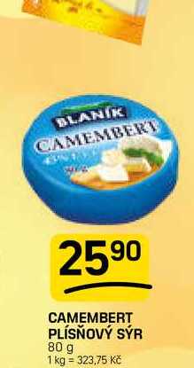 CAMEMBERT PLÍSŇOVÝ SÝR 80 g 