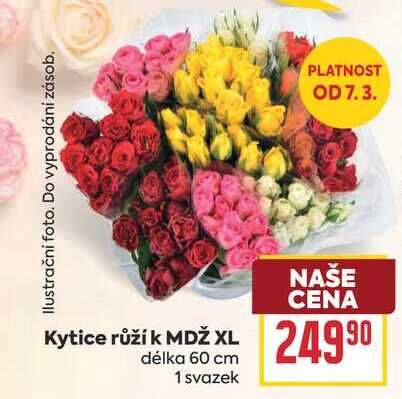 Kytice růží k MDŽ XL délka 60 cm 1 svazek 
