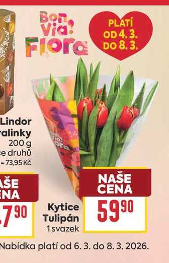 Kytice Tulipán 1 svazek 